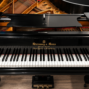 STEINWAY B