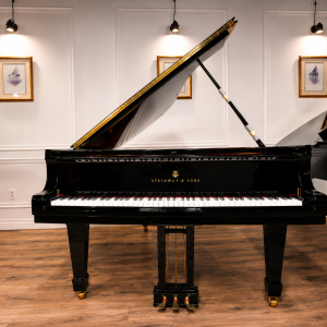 STEINWAY B
