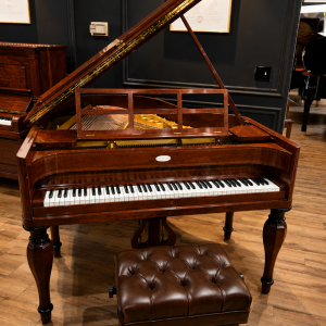 STEINWAY M