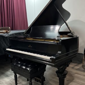 1905 Steinway B Grand EP | 105530