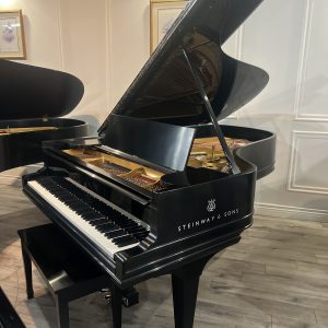 Steinway B ES