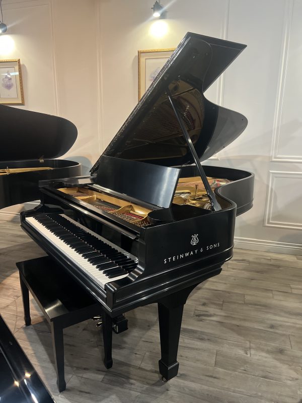 Steinway B ES