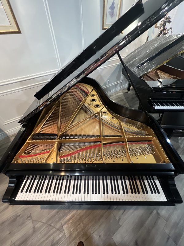 REBUILT 1893 Steinway B Grand TUX | 79966 - Image 6