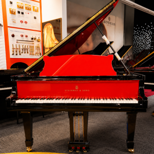 STEINWAY M