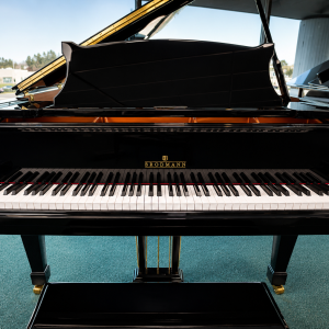 CE-175