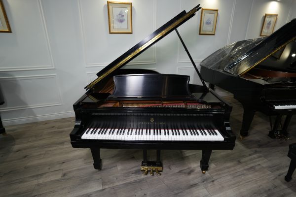 USED 1995 Steinway B Grand ES | 536519 - Image 4