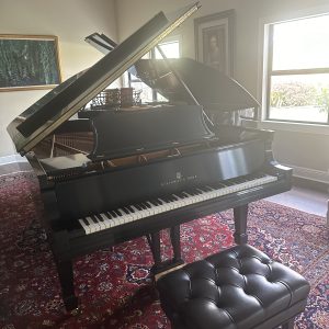 Steinway C