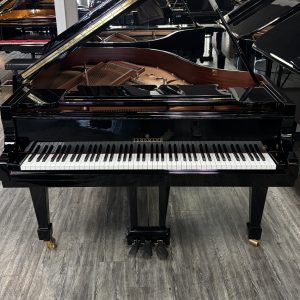 NEW Brodmann PE-187 Grand EP | 1870002550