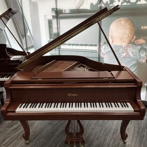 PRE-OWNED Essex EGP-155C Grand CS | E142778C