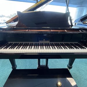NEW Brodmann CE-175 Grand EP | 1750001241