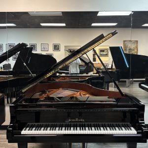 NEW Schimmel C189T Grand EBHP | 380.870