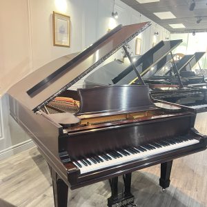 REBUILT 1889 Steinway B Grand RWS | 66894