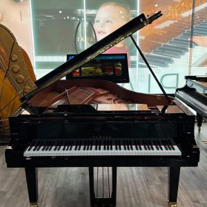 PRE-OWNED Yamaha C6X Grand EP | 6393751