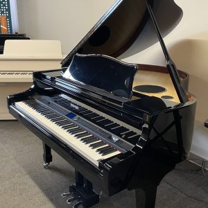 NEW Dynatone VGP-4000Q Digital EP | 240001905020
