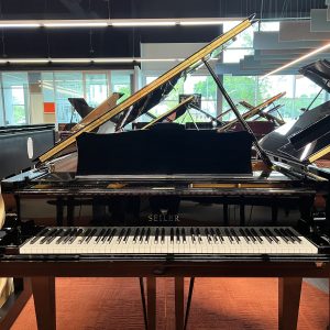 PRE-OWNED Seiler ED-186 PNOScan Grand EBHP | IKKCG0210