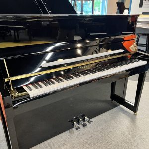 NEW Schimmel F116T Vertical EBHP | 119.361