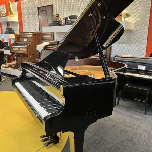 NEW Schimmel F156T PNO4 Grand EBHP | 108.589