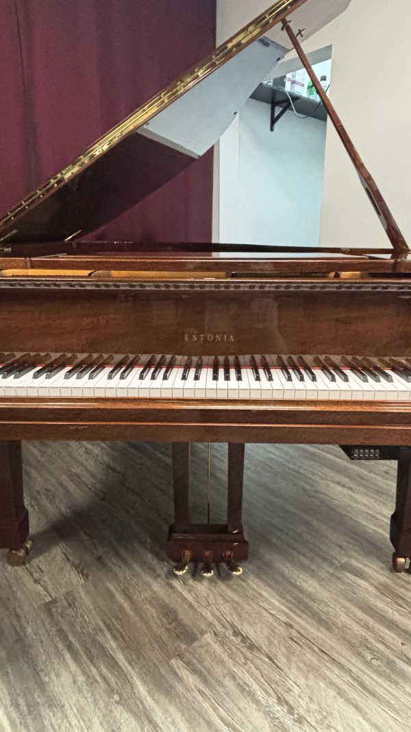 USED Estonia Model 190 Grand MP | 5539 - Image 5