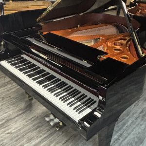 Schimmel K230