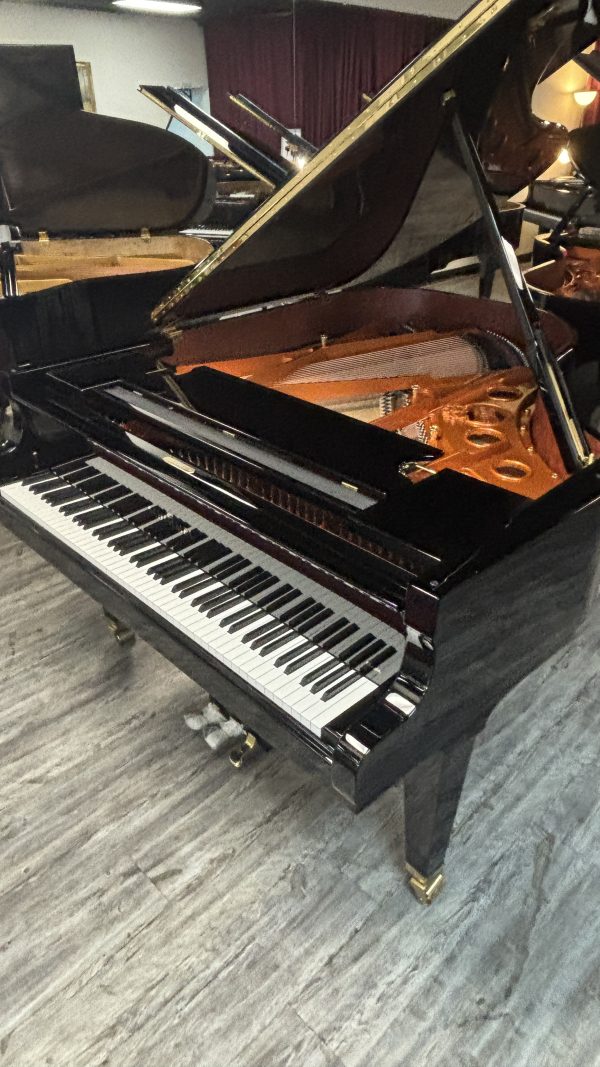 Schimmel K230