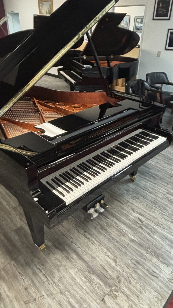 NEW Schimmel C189T Grand EBHP | 380.870 - Image 5