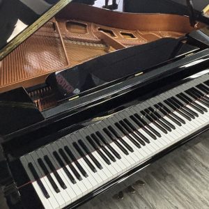Yamaha GA1E