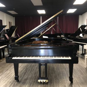 PRE-OWNED 1989 Steinway D Grand ES | 503595