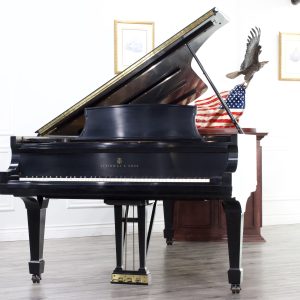 PRE-OWNED 1989 Steinway D Grand ES | 503595