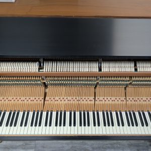 USED 1982 Steinway 1098 Vertical ES | 478540