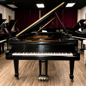 STEINWAY D