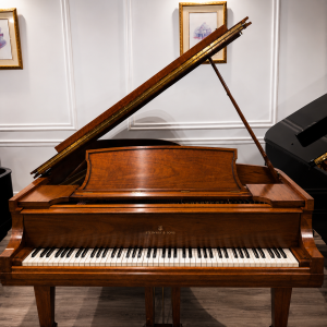 STEINWAY B
