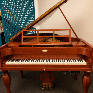 STEINWAY M
