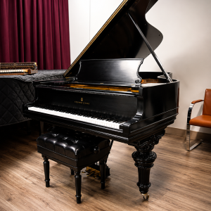 STEINWAY B