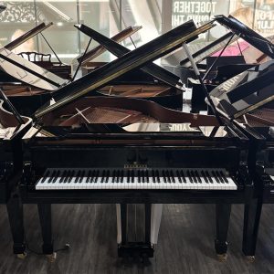 NEW Brodmann CE-175 Grand EP | 1750001240