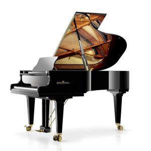Schimmel C213