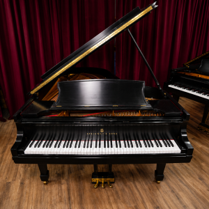 STEINWAY B
