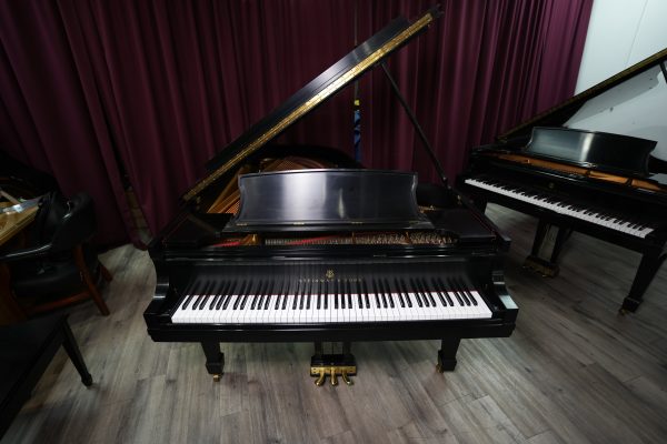 USED 1988 Steinway B Grand ES | 510540 - Image 4