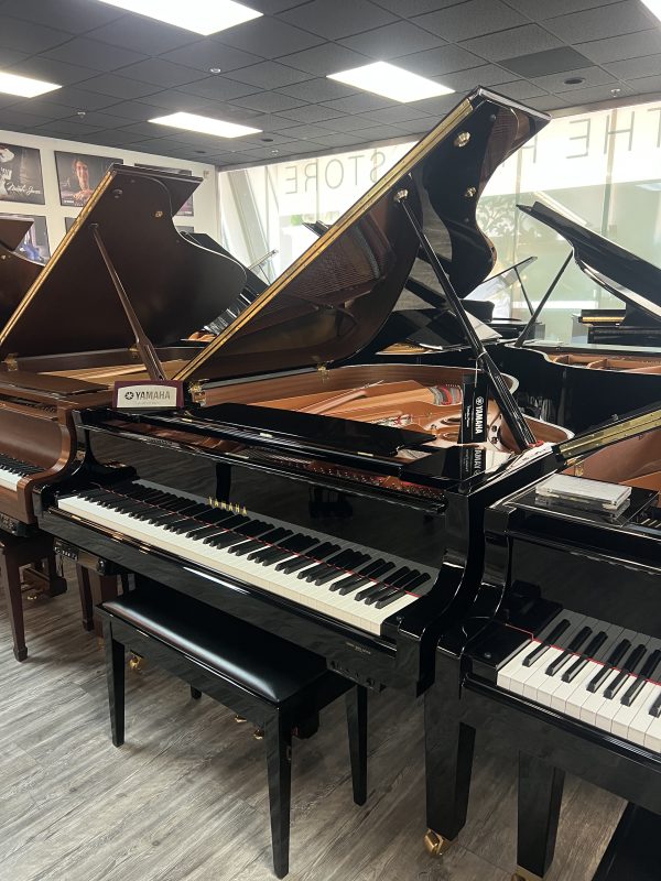 USED Yamaha DC3 Grand EP | 6392168 - Image 2