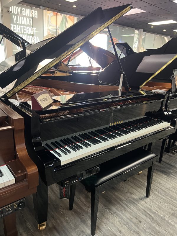USED Yamaha DC3 Grand EP | 6392168