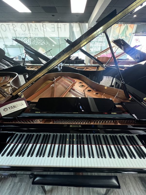 USED Yamaha DC3 Grand EP | 6392168 - Image 3