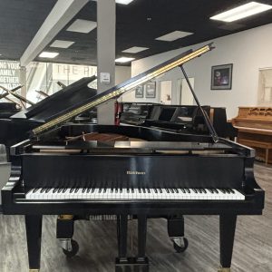 PRE-OWNED Baldwin L Grand ES | 239210