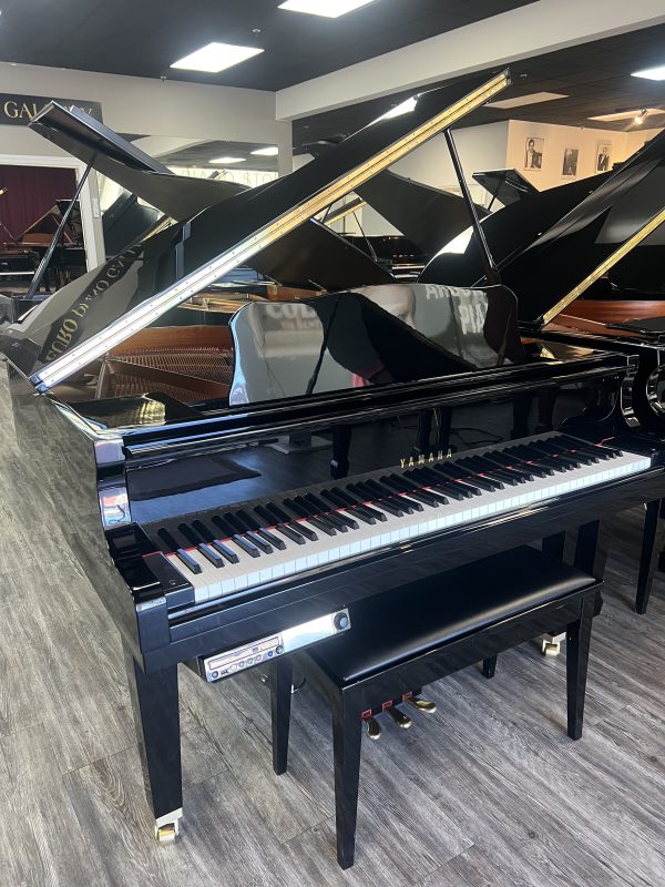 Yamaha GB1k