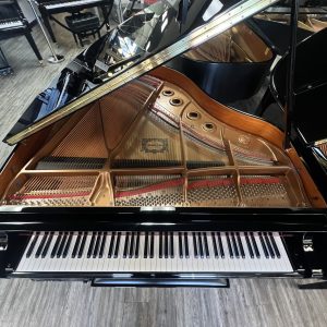 Yamaha GB1k