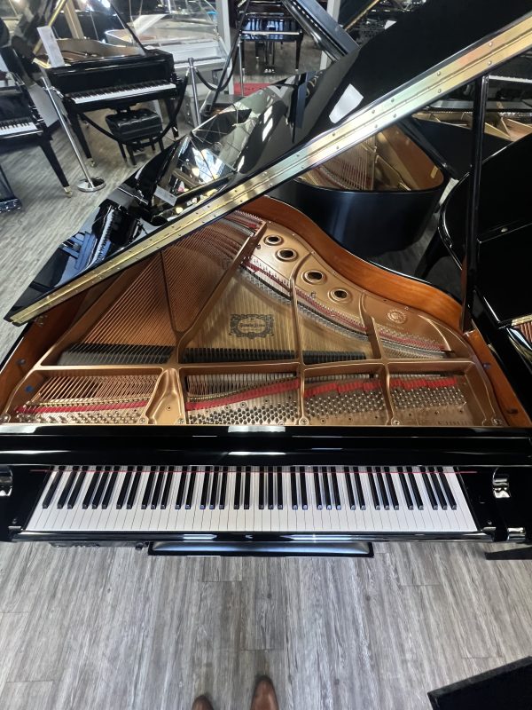 Yamaha GB1k