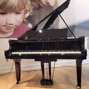 NEW Johannes Seiler GS-150B Grand EBHP/Black | ILMEG0055