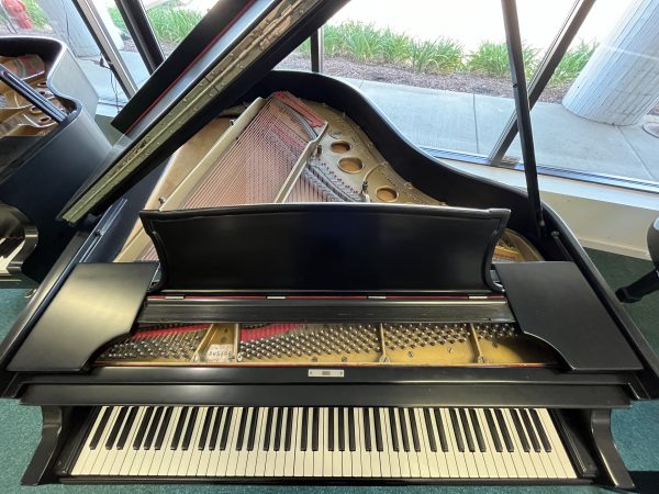 USED 1921 Steinway O Dampp Chaser Grand ES | 205508 - Image 3