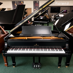 STEINWAY O
