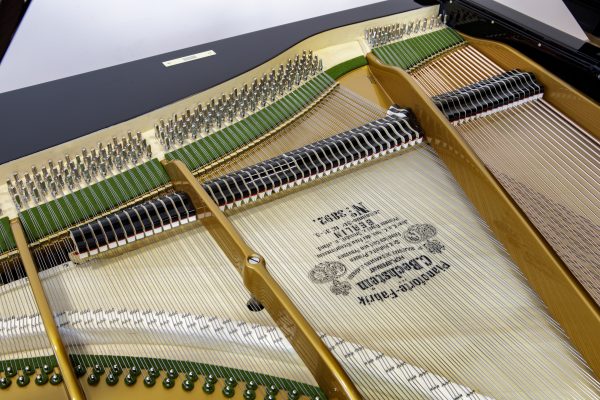 REBUILT C. Bechstein Grand EP  | COMING SOON - Image 18