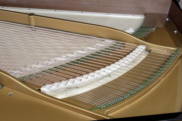 REBUILT C. Bechstein Grand EP  | COMING SOON - Image 19