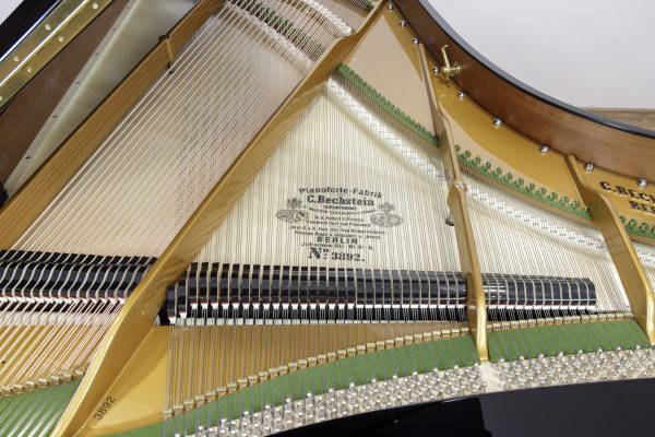 REBUILT C. Bechstein Grand EP  | COMING SOON - Image 21